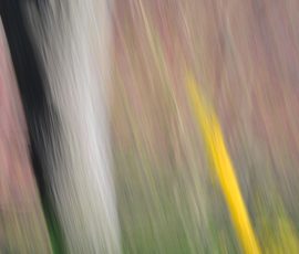 M7